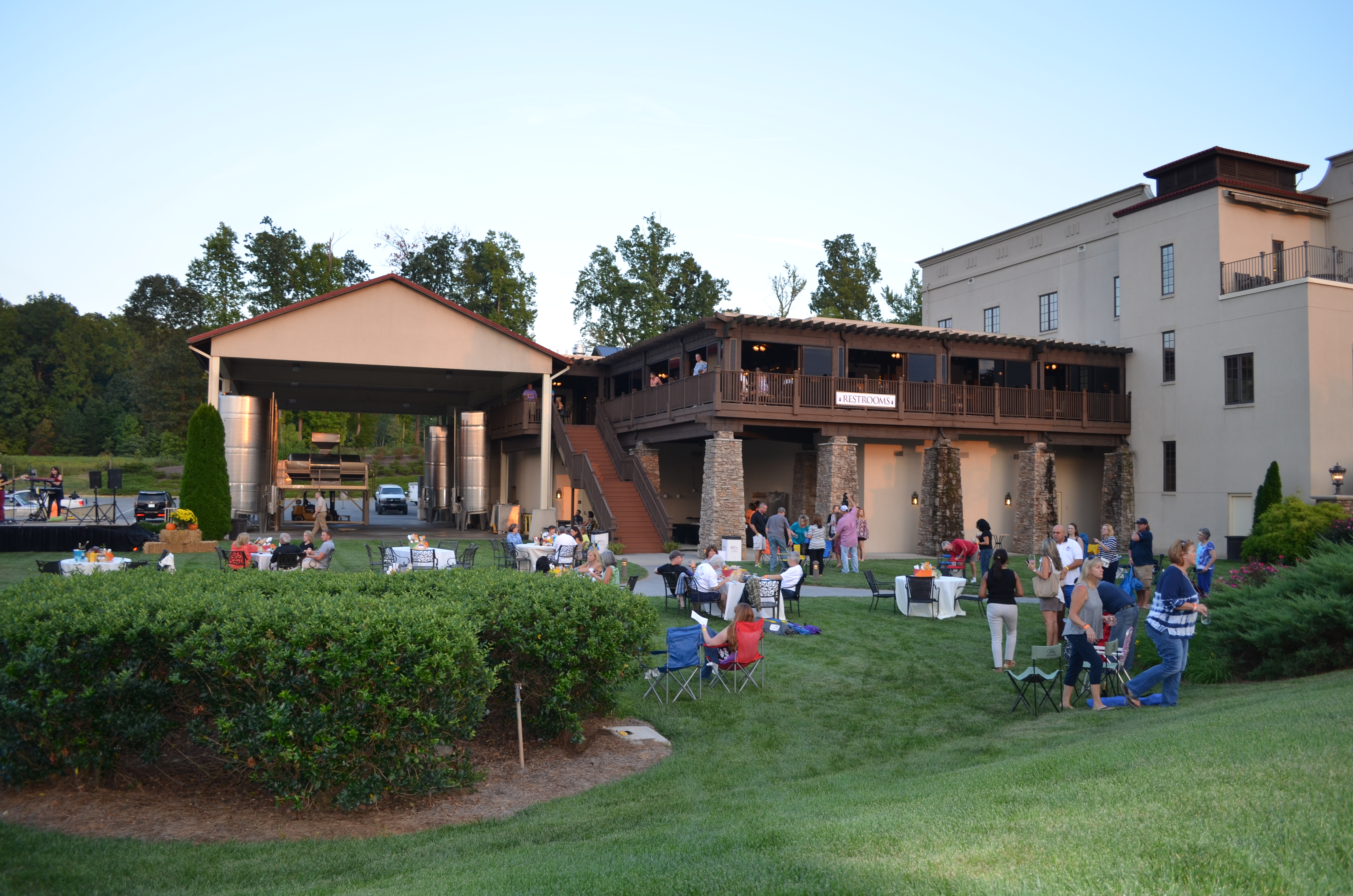 ./2016/18 - Grape Stump/DSC_0622.JPG